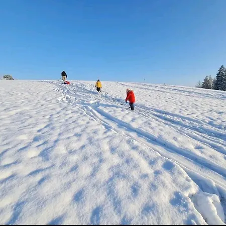 Im Alten Milchwerk شقة Görisried